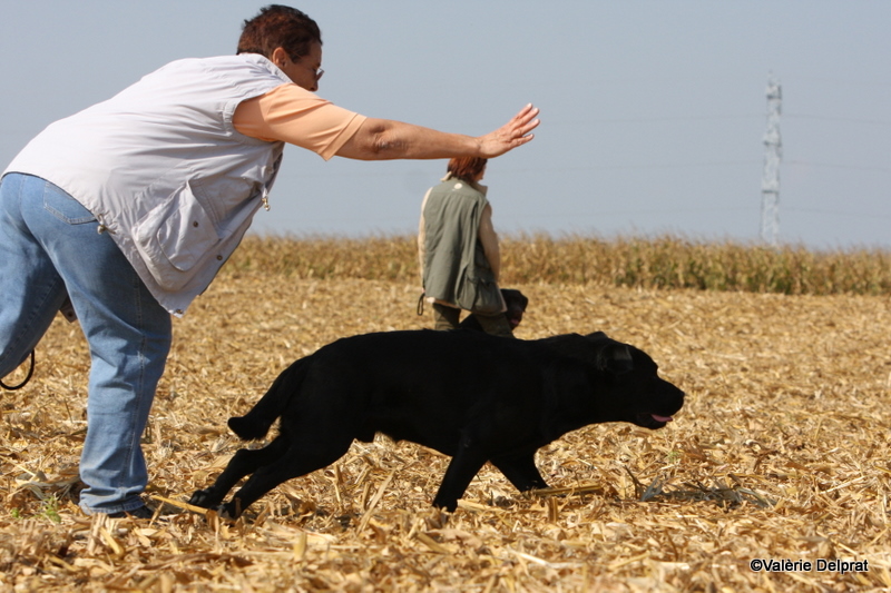 Field Erstein 09 (61).JPG